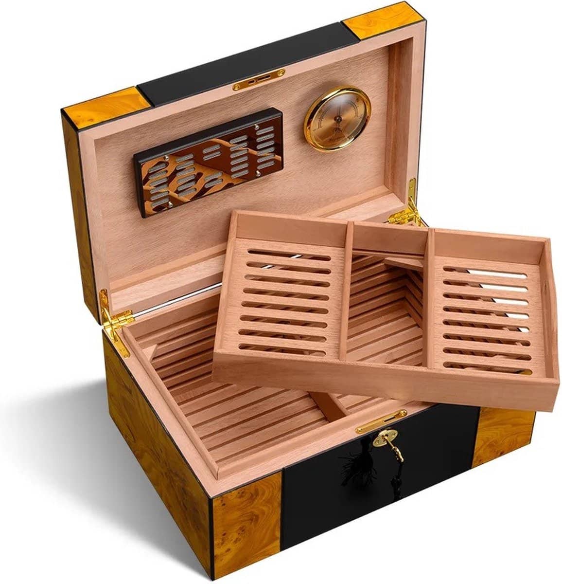 Cohiba Sigaren humidor open