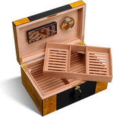 Cohiba Sigaren humidor open